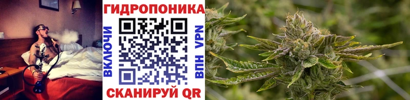 закладка  Гдов  нарко площадка какой сайт  Бошки Шишки планчик 